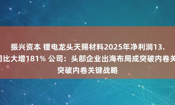 振兴资本 锂电龙头天赐材料2025年净利润13.6亿元同比大增181% 公司：头部企业出海布局成突破内卷关键战略