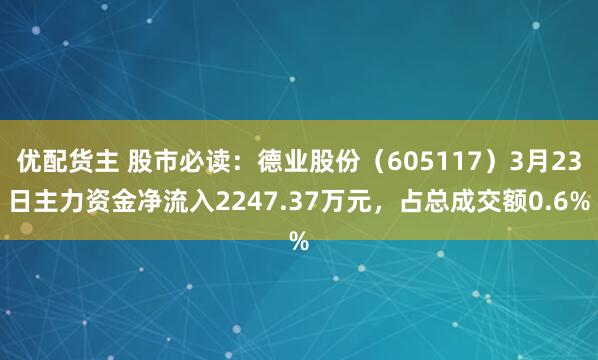 优配货主 股市必读：德业股份（605117）3月23日主力资金净流入2247.37万元，占总成交额0.6%