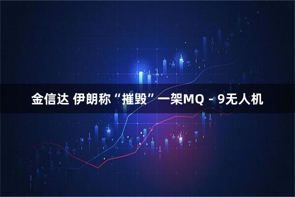 金信达 伊朗称“摧毁”一架MQ－9无人机