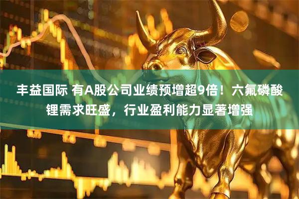 丰益国际 有A股公司业绩预增超9倍！六氟磷酸锂需求旺盛，行业盈利能力显著增强