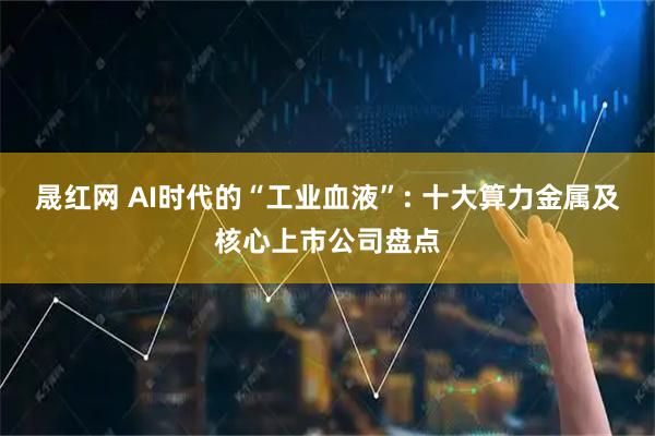 晟红网 AI时代的“工业血液”: 十大算力金属及核心上市公司盘点