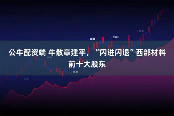 公牛配资端 牛散章建平，“闪进闪退”西部材料前十大股东